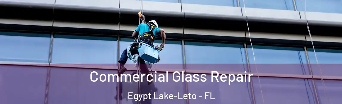 Commercial Glass Repair Egypt Lake-Leto - FL