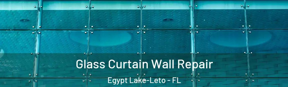 Glass Curtain Wall Repair Egypt Lake-Leto - FL