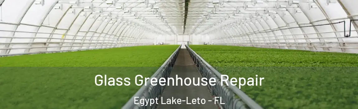 Glass Greenhouse Repair Egypt Lake-Leto - FL
