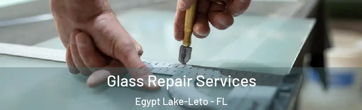  Glass Repair Services Egypt Lake-Leto - FL