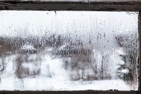 Defogging Double Pane Windows in Egypt Lake-Leto, FL