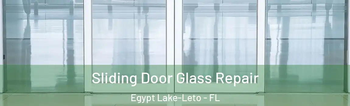 Sliding Door Glass Repair Egypt Lake-Leto - FL
