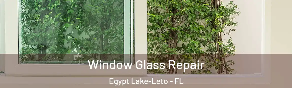 Window Glass Repair Egypt Lake-Leto - FL