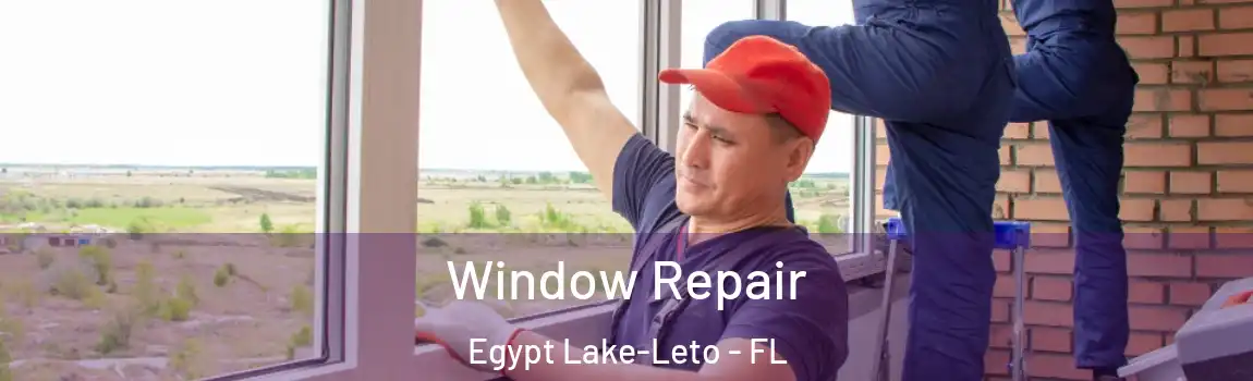 Window Repair Egypt Lake-Leto - FL