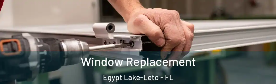 Window Replacement Egypt Lake-Leto - FL